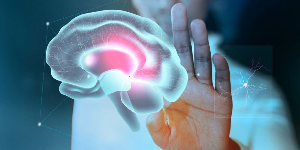 O Que é Neuropsicologia e Como Ela Pode Ajudar?